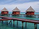 Maldive Kuramathi-Angaga093.JPG